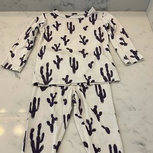 Posh Peanut 2 piece cactus set